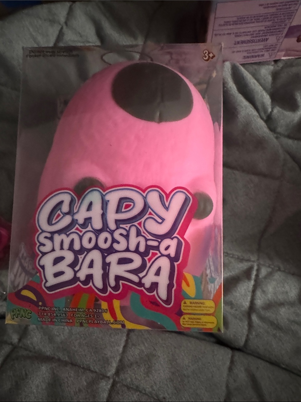 Capy beara smooshy squishy 5 below